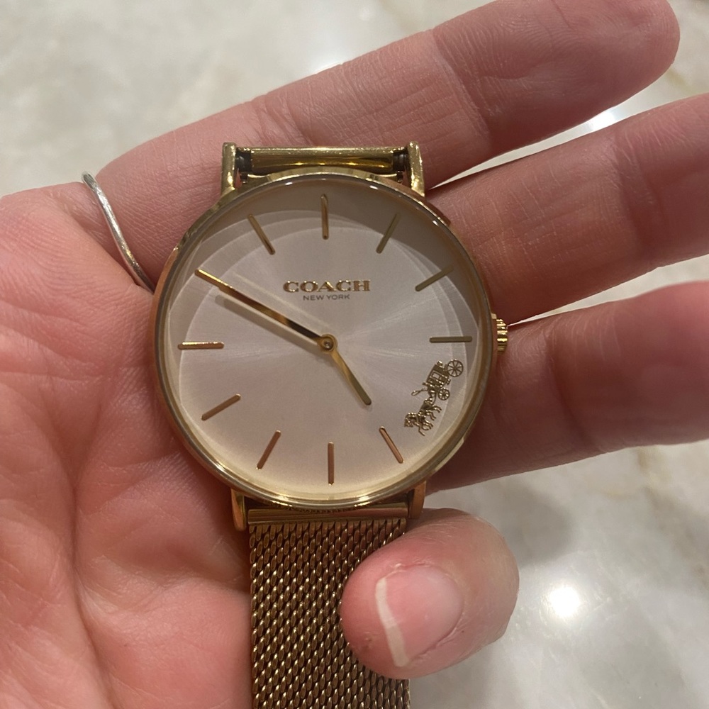 Coach watch